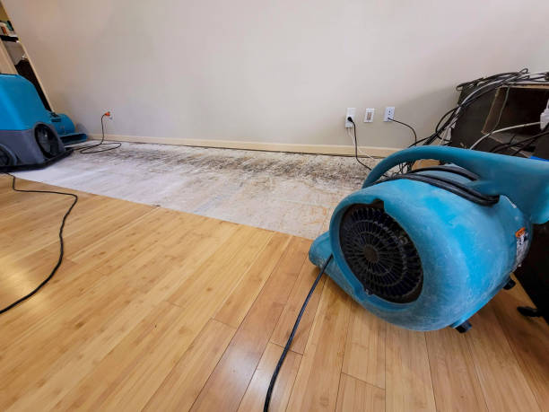 Professional Structural Drying technician working in Visalia, CA